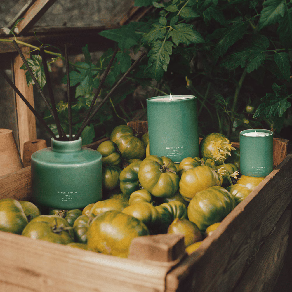 Green Tomato Vine Townhouse Candle
