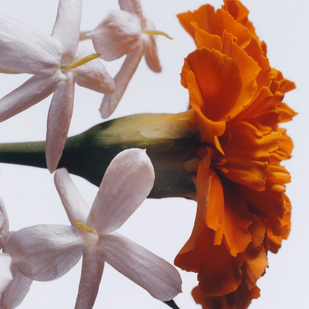 Jasmine Sambac & Marigold Scented Candle