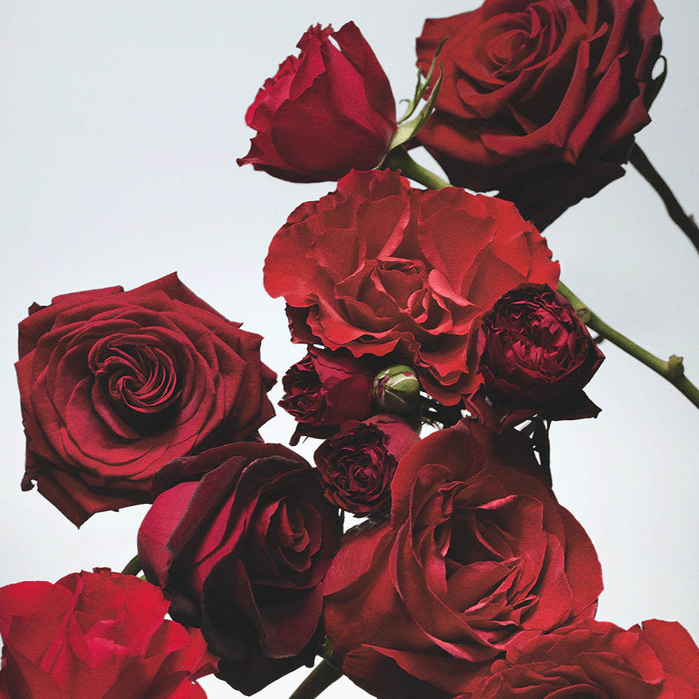 Red Roses Reed Diffuser