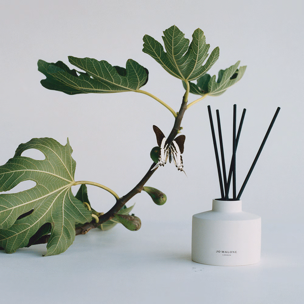 Fresh Fig & Cassis Reed Diffuser