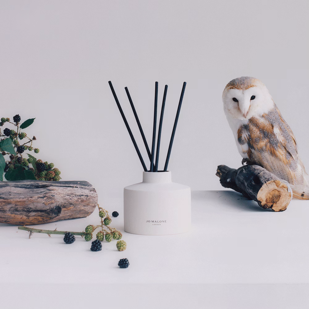Wild Berry & Bramble Reed Diffuser
