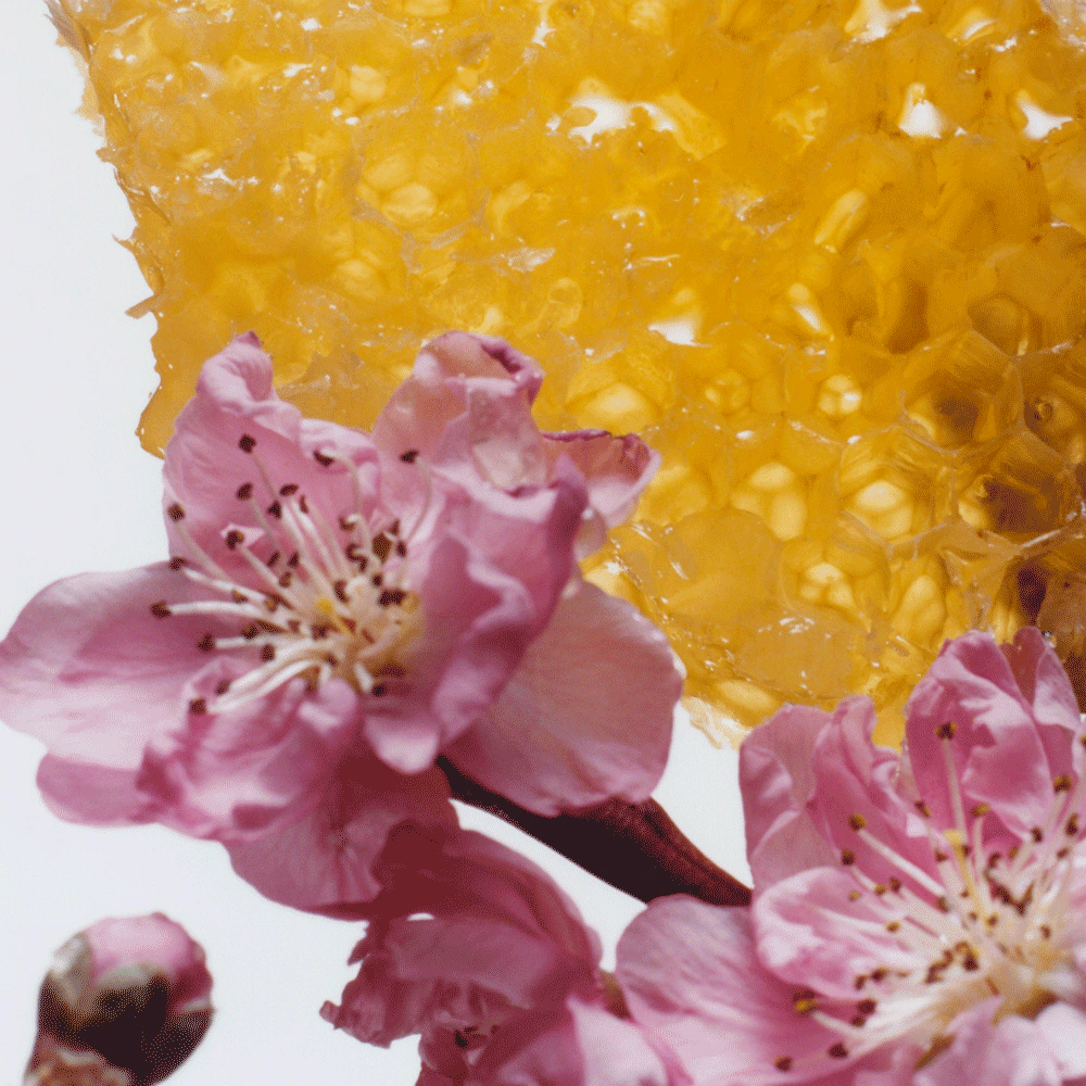 Nectarine Blossom & Honey Scented Candle