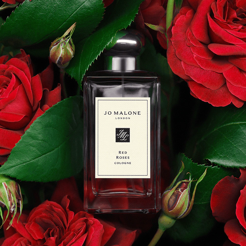 Red Roses Cologne