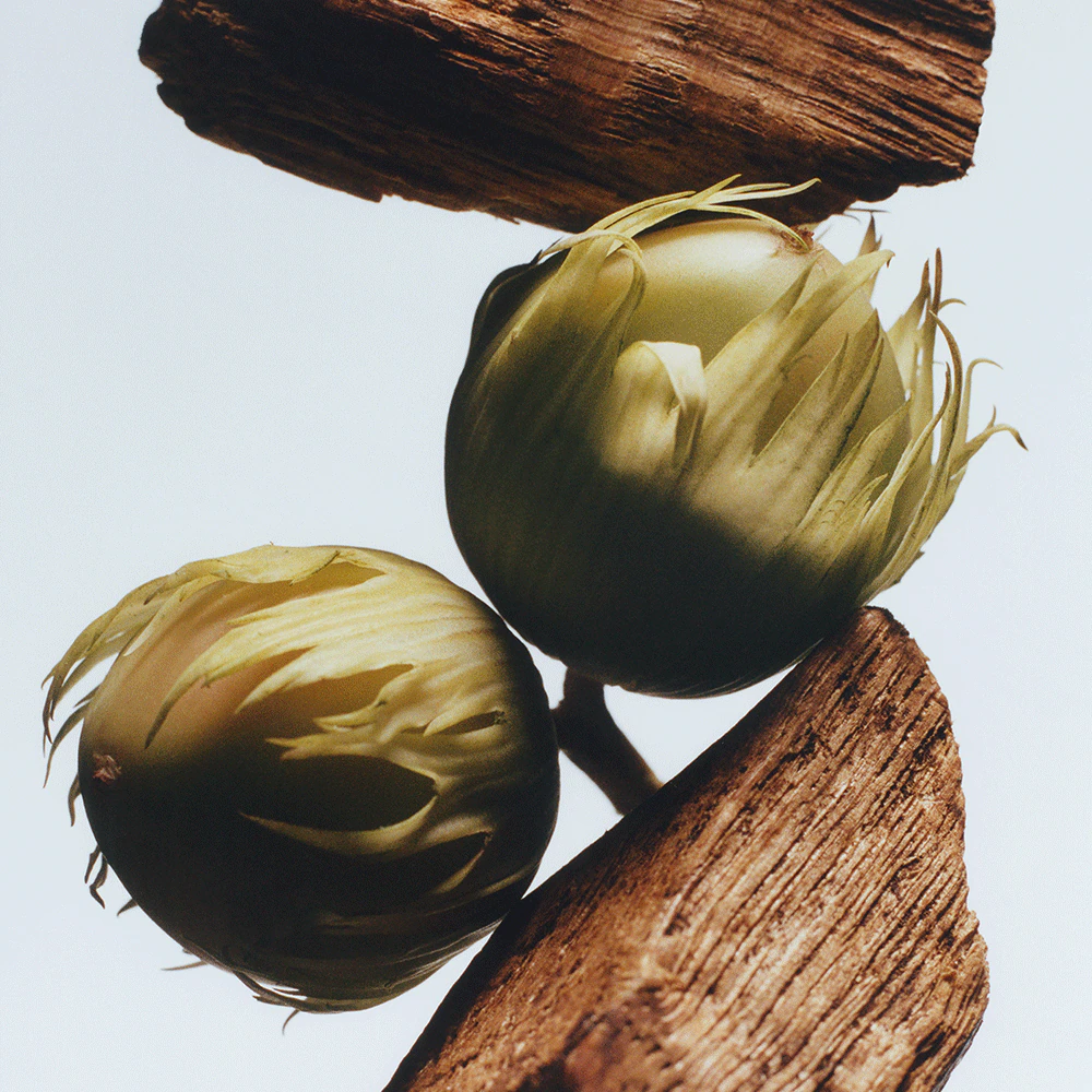 English Oak & Hazelnut Cologne