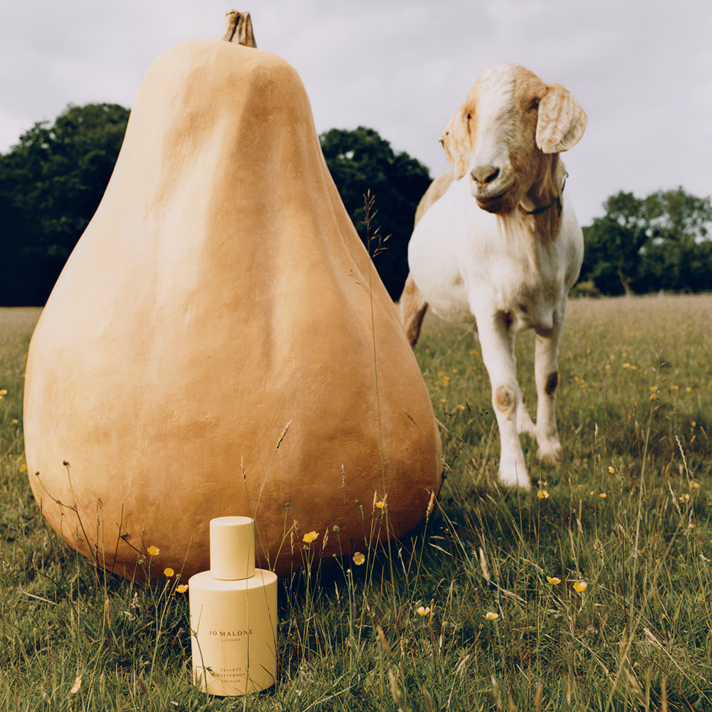 Velvety Butternut Cologne