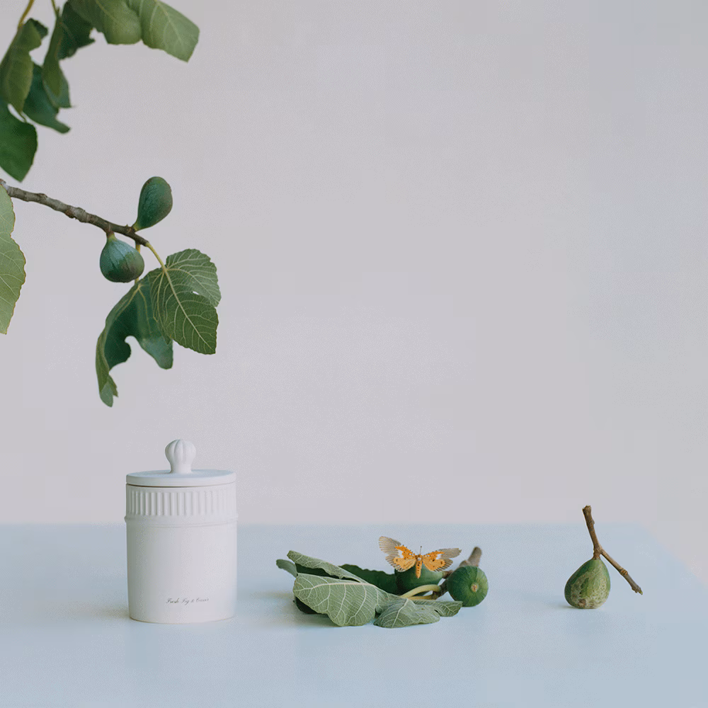 Fresh Fig & Cassis Townhouse Scented Candle