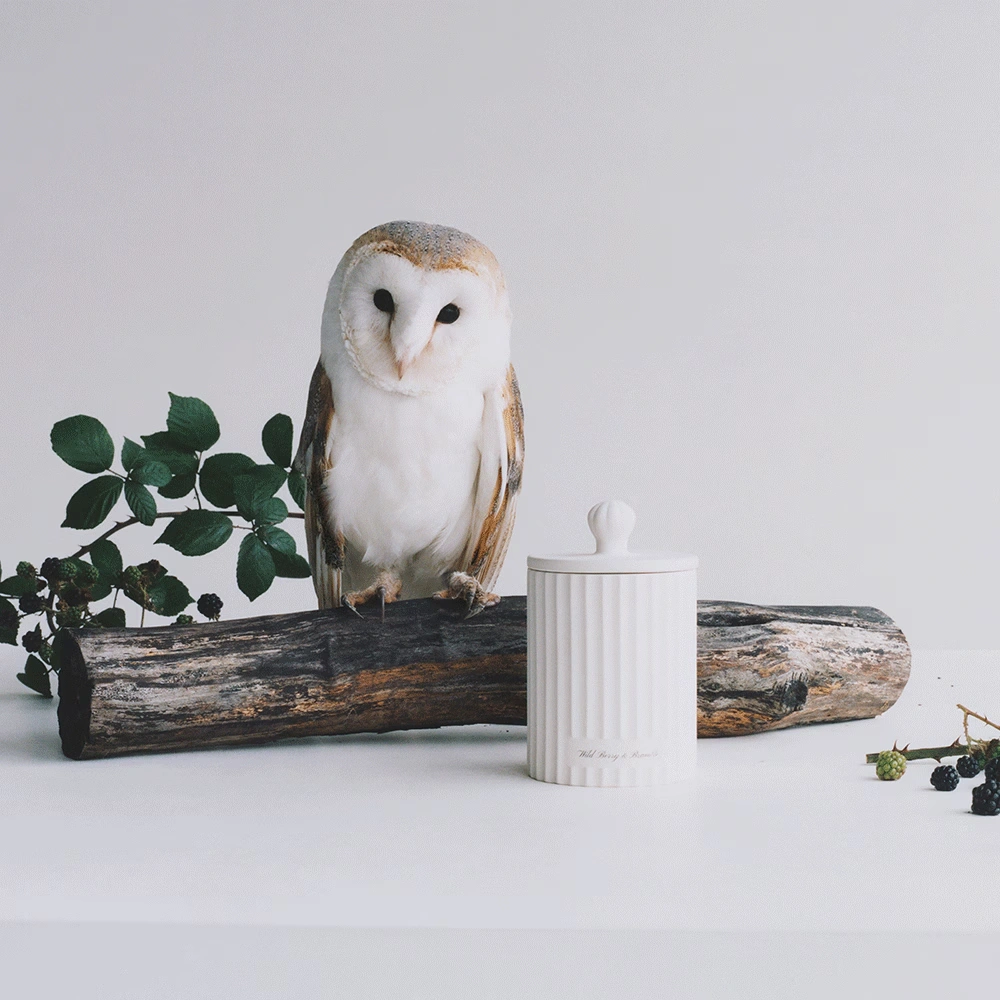 Wild Berry & Bramble Townhouse Scented Candle