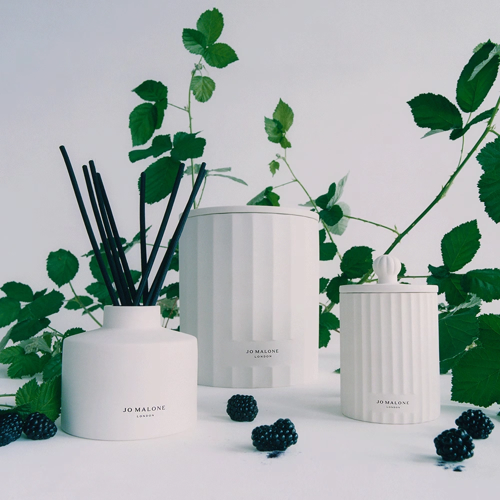 Wild Berry & Bramble Townhouse Scented Candle